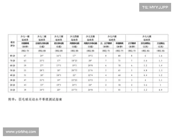 羽毛球运动水平等级评定标准的实施与发展路径探讨 羽毛球运动水平等级评定标准的实施与发展路径探讨